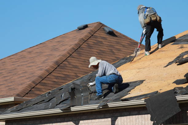 Best Storm Damage Roof Repair  in Parks, AZ